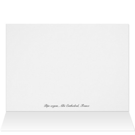 Albi Cathedral organ, France (Inside Horizontal (Top))