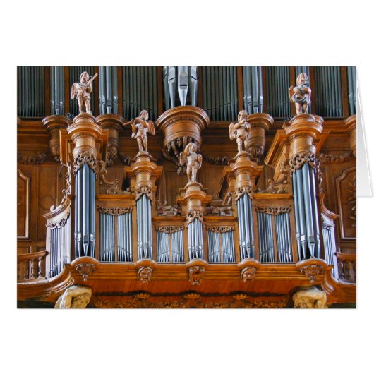 Albi Cathedral organ, France (Front Horizontal)