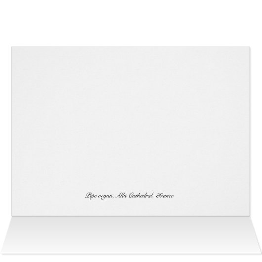 Albi Cathedral organ, France (Inside Horizontal (Top))