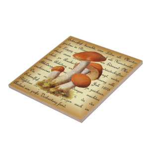 Albin Schmalfuß~Espenrotkappe1~ Mushrooms ~ Ceramic Tile