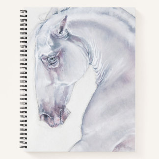 Albinl Sallion Notebook