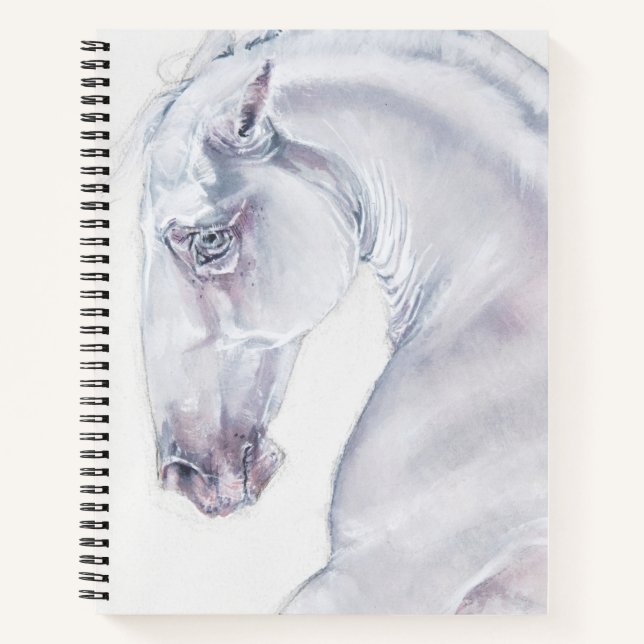 Albinl Sallion Notebook (Front)