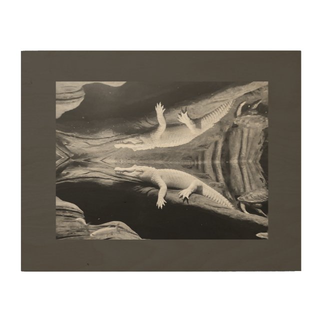 Albino Alligator Wood Wall Art (Front)