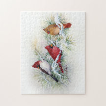 Albino Cardinal Visits Jigsaw Puzzle