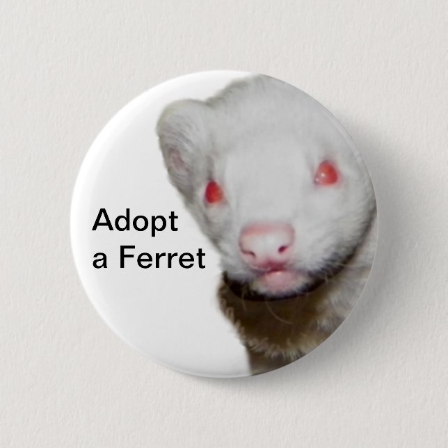 Albino Ferret Picture Button (Front)
