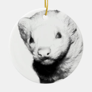 Albino Ferret Picture Ceramic Ornament