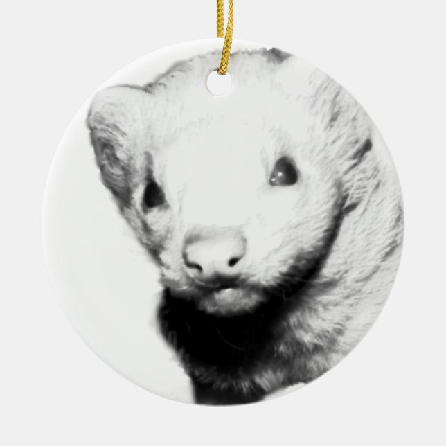 Albino Ferret Picture Ceramic Ornament (Front)