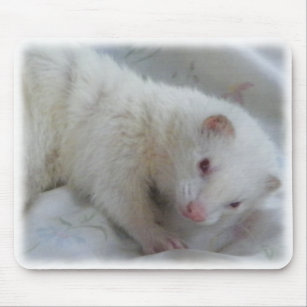Albino Ferret Picture Mouse Pad