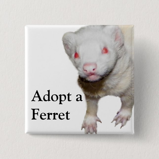 Albino Ferret Picture Pinback Button (Front)