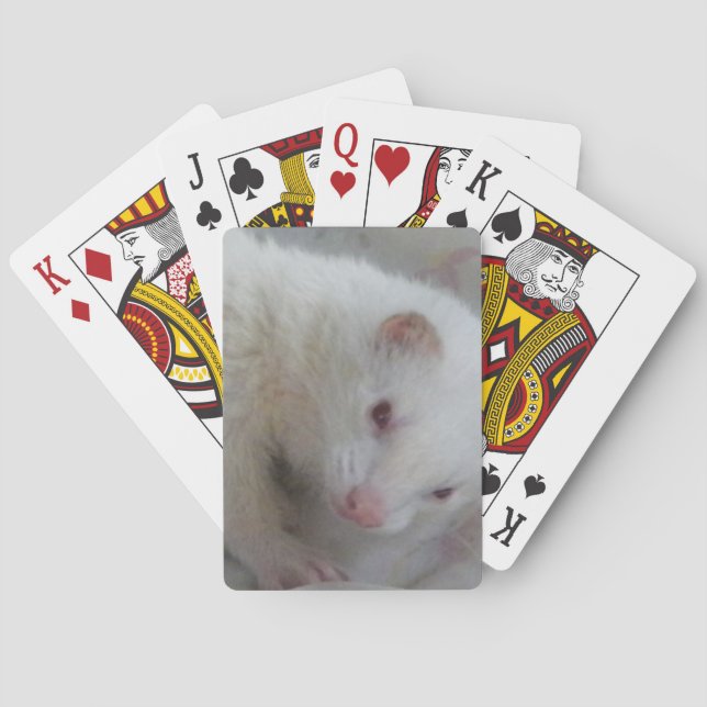 Albino Ferret Picture Poker Cards (Back)