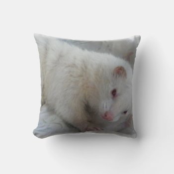 Albino Ferret Picture Throw Pillow by Visages at Zazzle