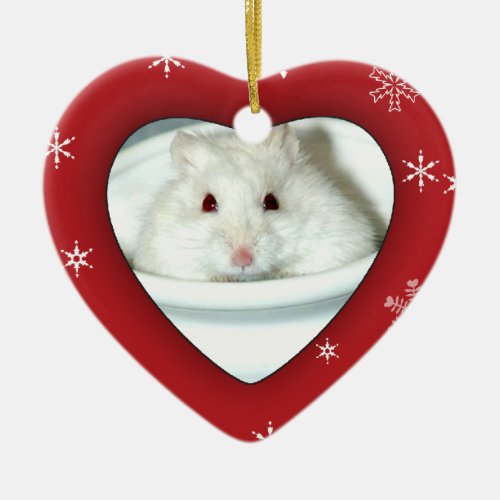 Albino Hamster Photo Ceramic Ornament