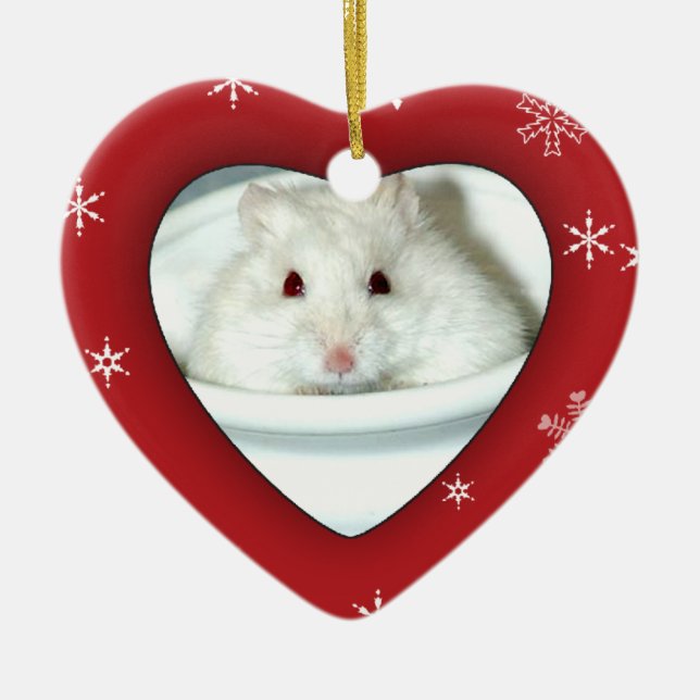 Albino Hamster Photo Ceramic Ornament (Front)