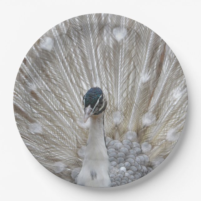 Albino Peacock Paper Plates (Front)