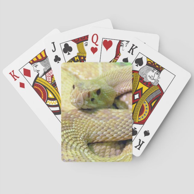 Albino Rattlesnake Bicycle Playing Cards (Back)