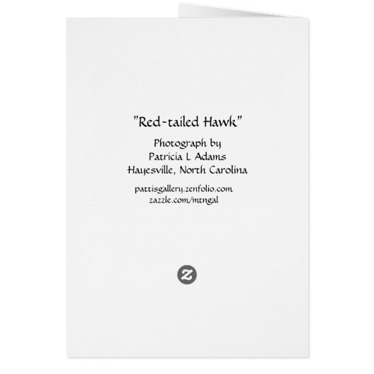 Albino Red-tailed Hawk (Back)