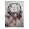 Albino Red-tailed Hawk