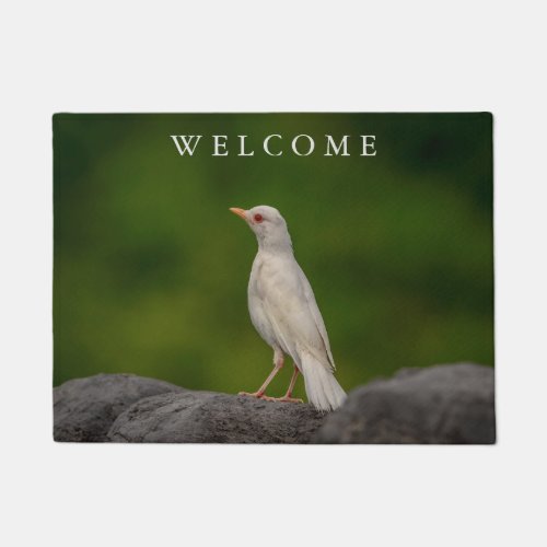 Albino Robin in Crown Point Doormat