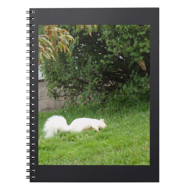 Albino Squirrel Notebook (Front)