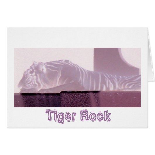 Albino Tiger Cards (Front Horizontal)