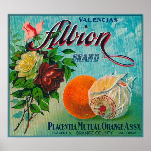 Albion Brand Citrus Crate Label