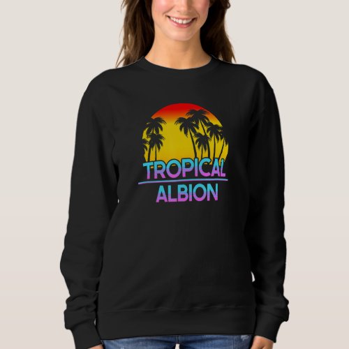 Albion Michigan Funny Ironic Weather Sweatshirt