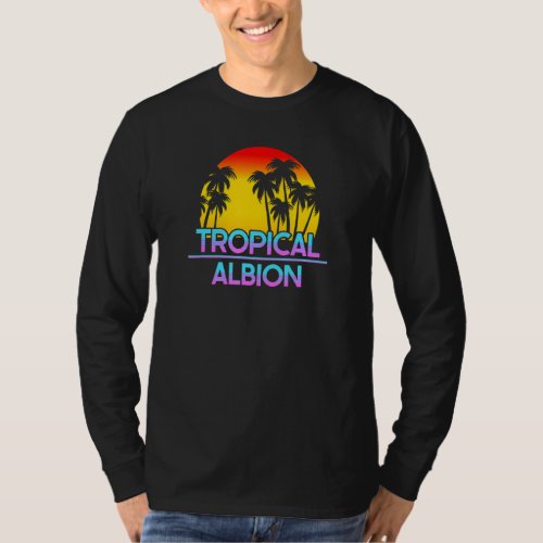 Albion Michigan Funny Ironic Weather T_Shirt