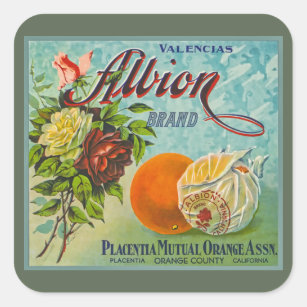Albion Oranges Fruit Crate Label