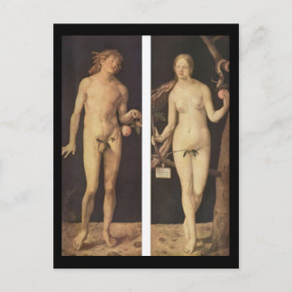 Albrecht Durer Adam And Eve Postcard