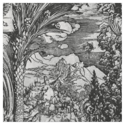 Albrecht Dürer Black and White Fabric