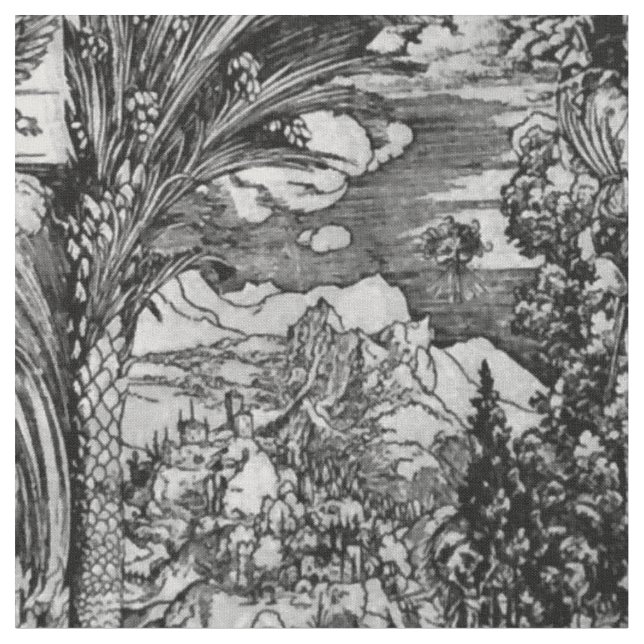 Albrecht Dürer Black and White Fabric (Close Up)