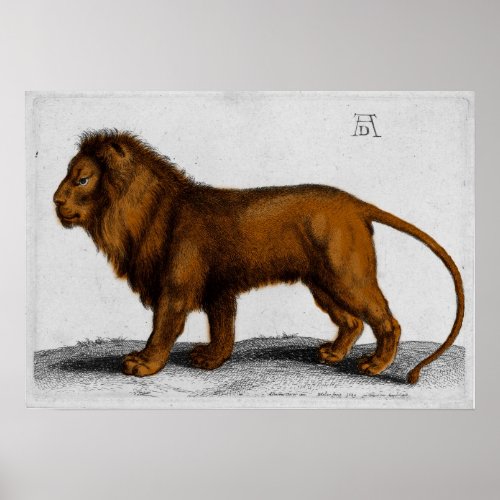 Albrecht Durer Color Engraving Lion Poster
