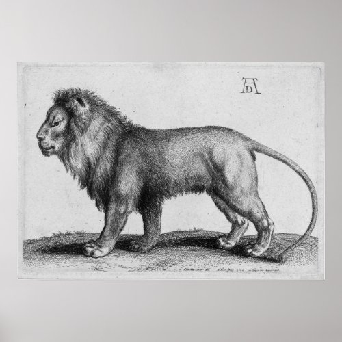 Albrecht Durer Engraving Lion Poster