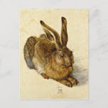 Albrecht Durer - Hare (1502) Postcard<br><div class="desc">Albrecht Durer - Hare (1502)</div>