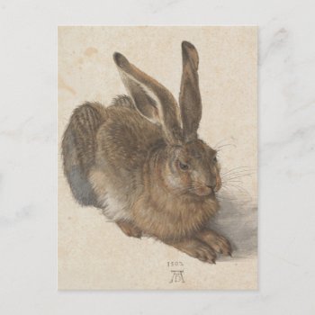 Albrecht Dürer - Hare Postcard by masterpiece_museum at Zazzle
