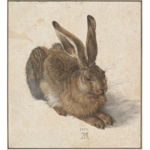 Albrecht Dürer - Hare Statuette