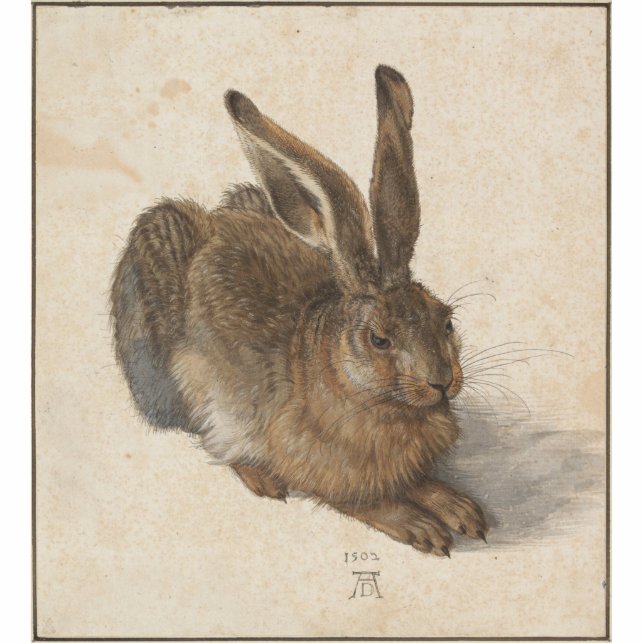 Albrecht Dürer - Hare Statuette (Front)