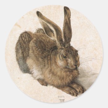 Albrecht Dürer - Junger Hase (young Hare)  1502 Classic Round Sticker by wesleyowns at Zazzle