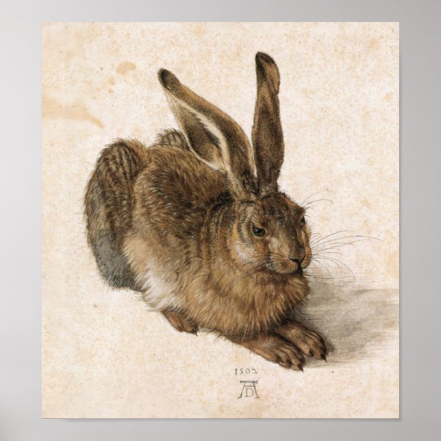 Albrecht Dürer - Junger Hase (Young Hare), 1502 Poster (Front)
