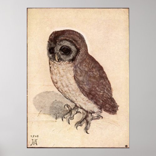 Albrecht Durer Little Owl Poster