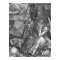 Albrecht Durer Melencolia I