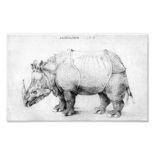 Albrecht Durer Rhinoceros Photo Print