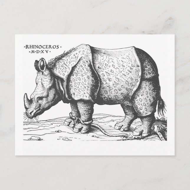 Albrecht Durer - Rhinoceros Postcard (Front)
