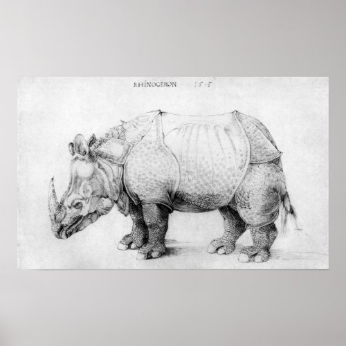 Albrecht Durer Rhinoceros Poster