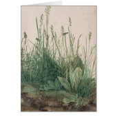 Albrecht Durer Sketch (Front)