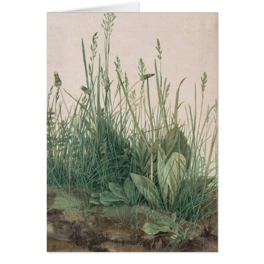 Albrecht Durer Sketch Cards (Front)