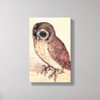 Albrecht Durer The Little Owl Canvas Print by VintageSpot at Zazzle
