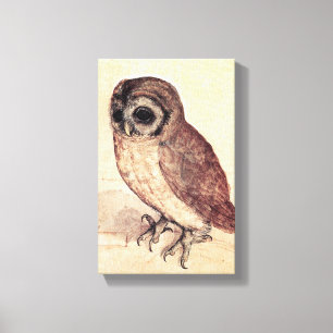 Albrecht Durer The Little Owl Canvas Print