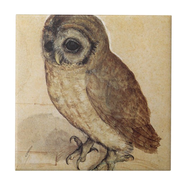 Albrecht Durer - The Little Owl Ceramic Tile (Front)