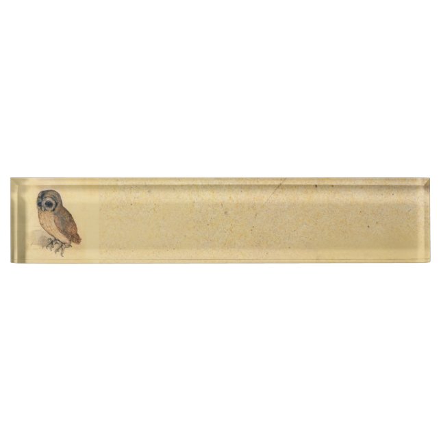 Albrecht Durer The Little Owl Desk Name Plate (Front)